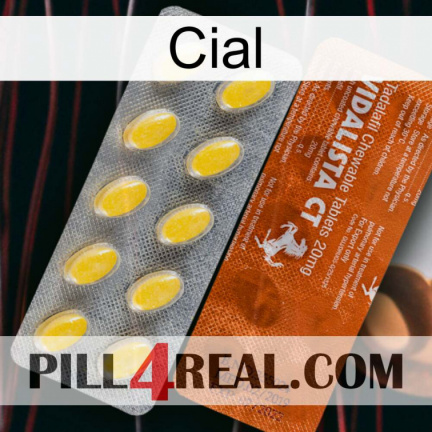 Cial 42